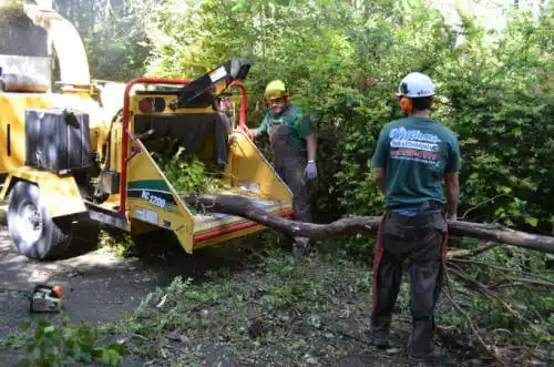 tree services Vineyard